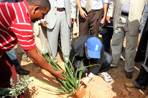 3 Adeebs Helen planting-20110405-163424.jpg
